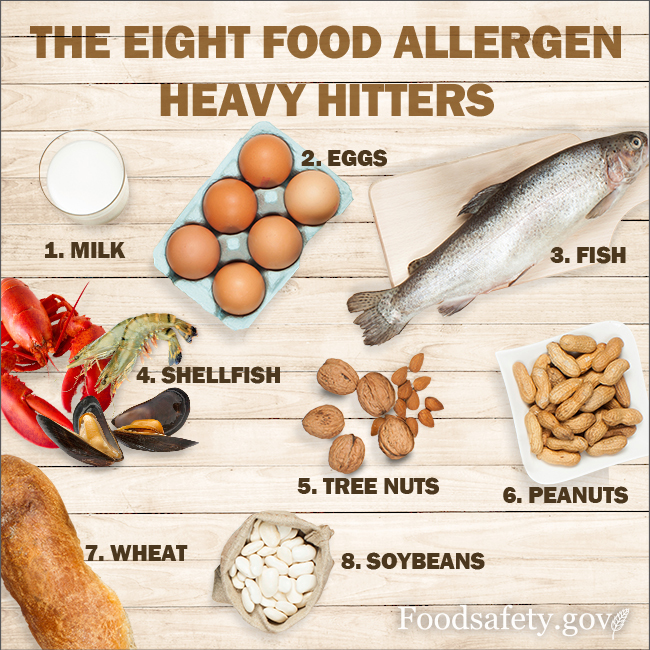 The Eight Most Common Food allergies
